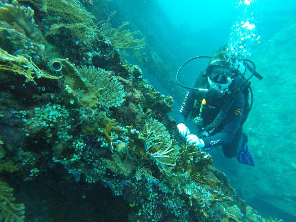 Ocean View Tulamben Dive & Resort Buitenkant foto