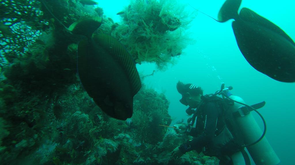 Ocean View Tulamben Dive & Resort Buitenkant foto
